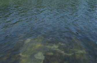 Trump tries explain why the Reflecting Pool is algae green and its blue lining is peeling